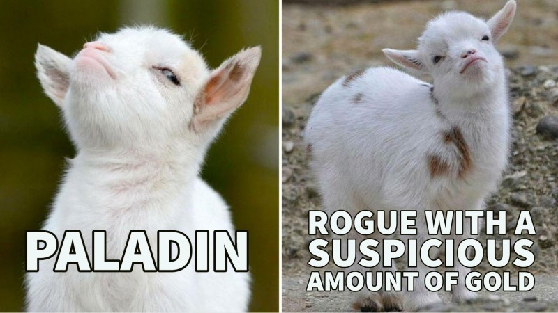 Rogue be actin kinda sus...