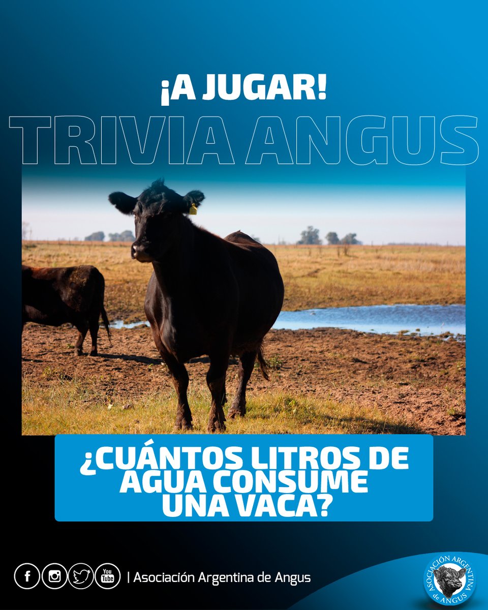 Angus Argentina tweet media