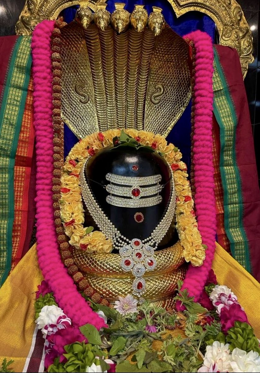 Jayalko1's tweet photo. शिव प्रभात🌿

THREAD:

WHO ARE RUDRAS (THE ELEVEN FORMS OF SHIV) https://t.co/kd1msVLgIl
