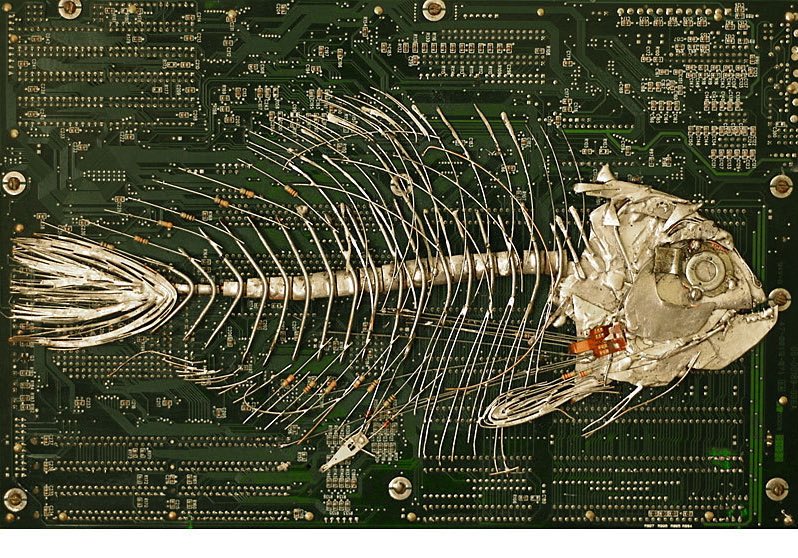 circuit board fossils by peter mcfarlane