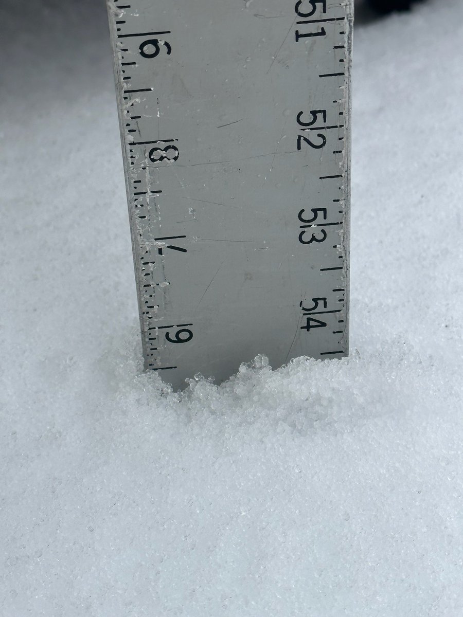 snow_valley_ca's tweet photo. It's snowing!  Nearly 6 inches has fallen at the top of the Snow Valley Express thus far and it's still snowing.  Due to gusty winds and conditions, the upper mountain is currently on weather hold.   Stay tuned for additional updates. 

Think Snow!

@snow_valley_ca https://t.co/Sj1dfu8ZGT