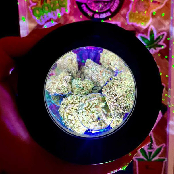 MasonBrite v3.0 
$24.99 Delivered 
Last Chance 2022
#Mmemberville 
#StonerFam 
#Weedmob 
#WeedLovers 
masonbrite.com/discount/FIFTY…