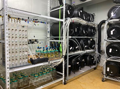 We measure #ethylene concentration in packaging &amp;  fruit. Measurements are made using gas chromatograph, ethylene gas detector or portable MacView analysers. These allow us to study optimal conditions for fruit storage &amp; transport, decreasing #fruitwaste &amp; #carbonfootprint.