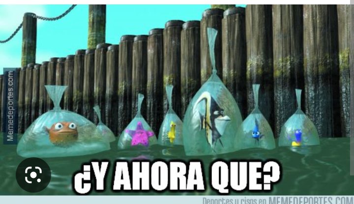 florchu_aranda's tweet photo. Paso el 10D y  nos sentimos así. 
💙🖤 https://t.co/v3bfdOQM9q