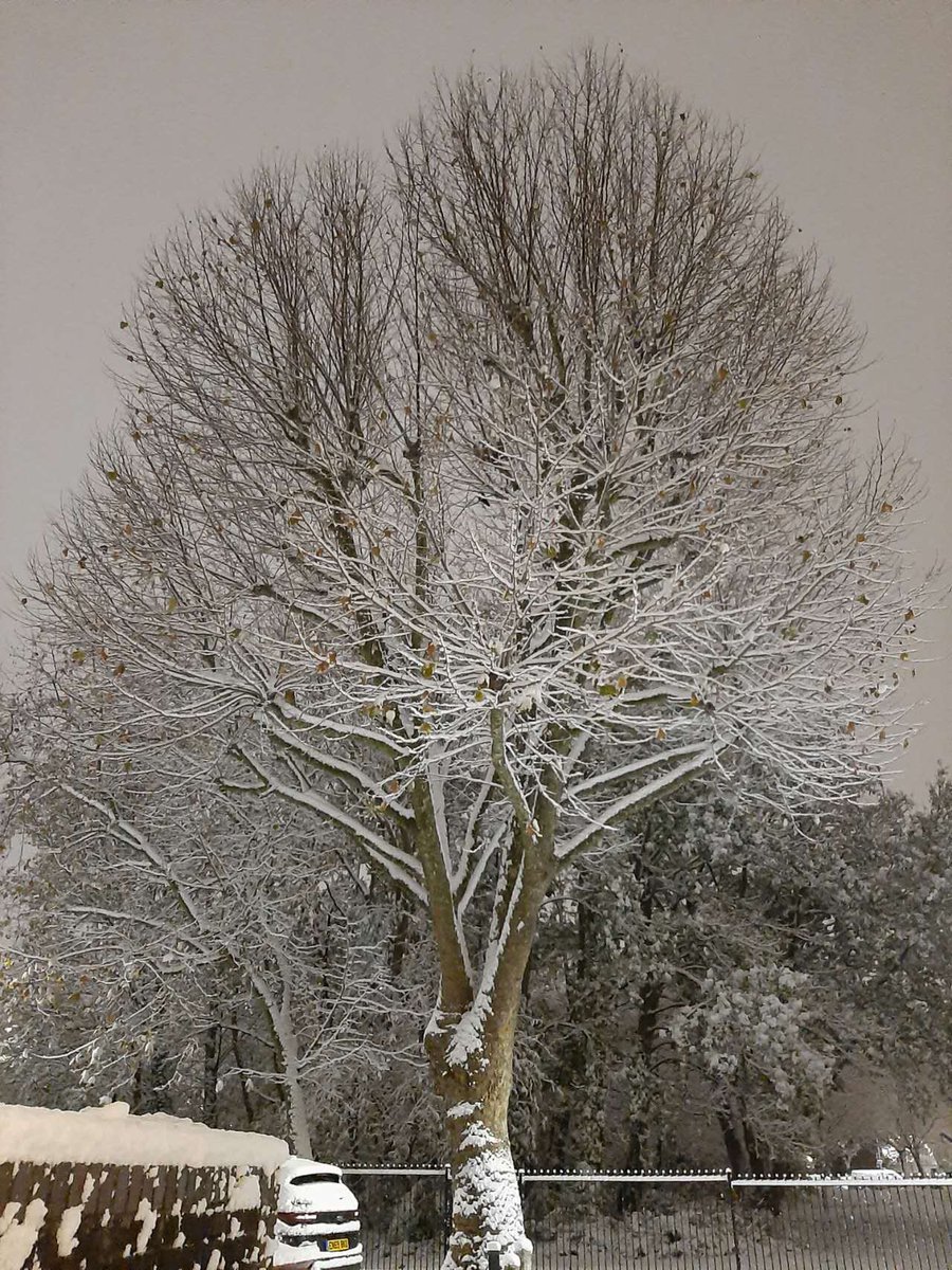DonChecco's tweet photo. Here we go: snow in London. #uksnow #WinterinUK @TowerHamletsNow Pictures courtesy of @SirTonino https://t.co/oUBrwL56S1