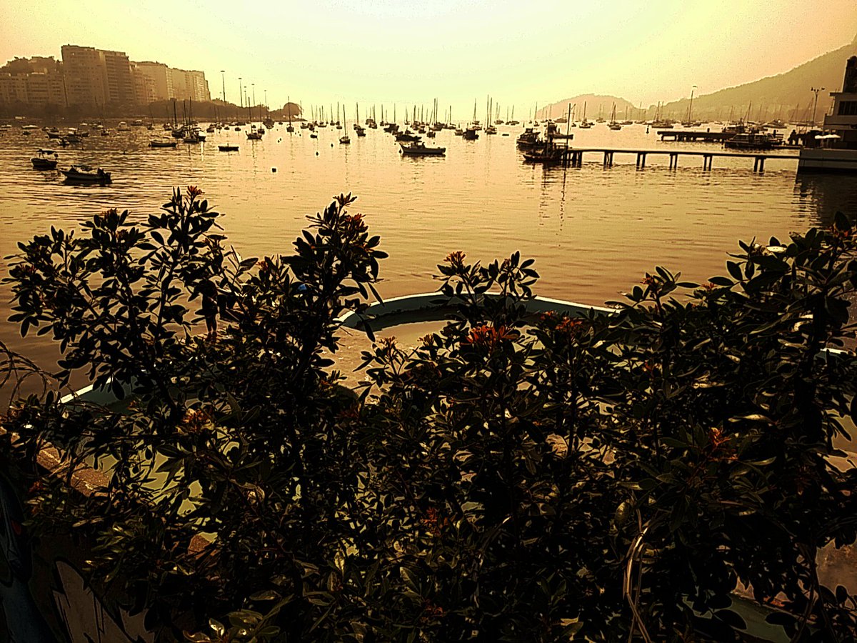 RinaldoCoelho tweet media