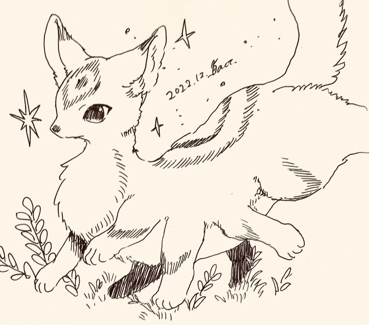 モコモコちゃん 