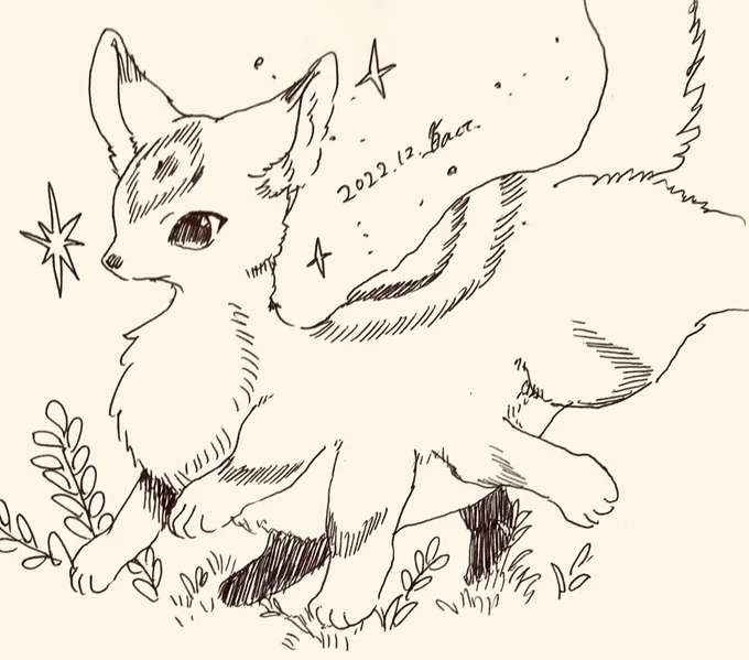 モコモコちゃん 