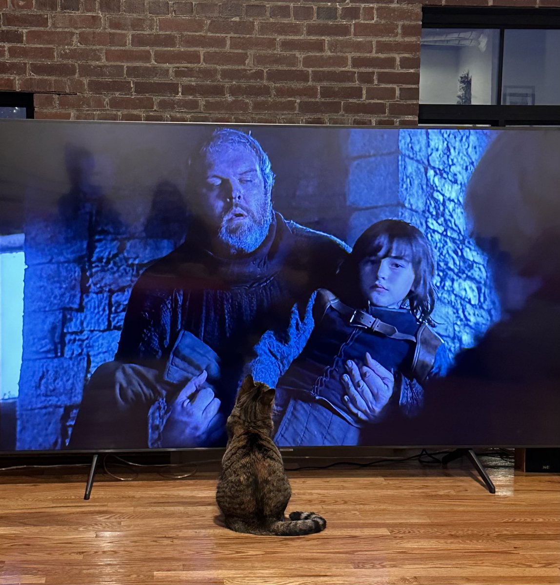 staceypilates's tweet photo. She likes Game of Thrones https://t.co/haCmXJQaOB
