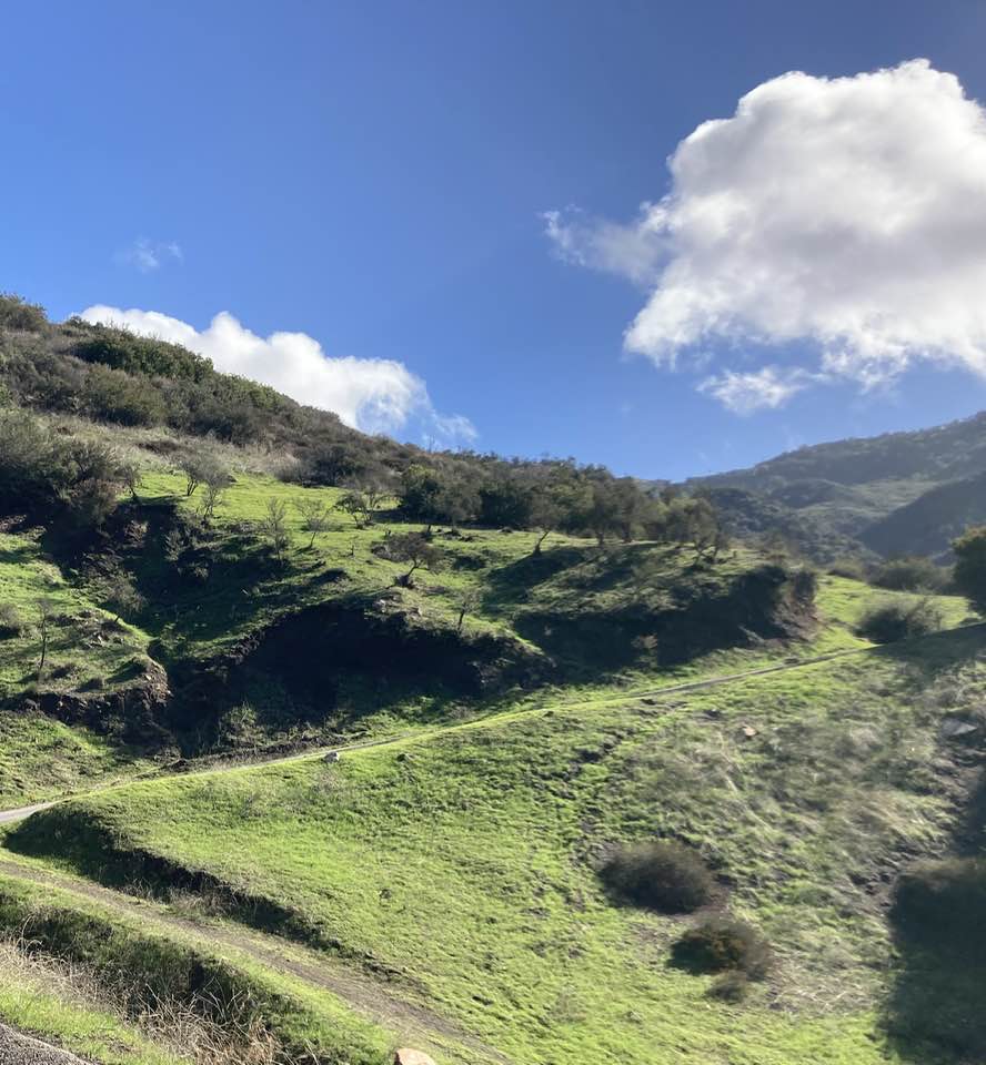 GregBruhl3's tweet photo. After one heavy rain, Southern California, USA suddenly looks like Ireland https://t.co/VmvQtegP9p
