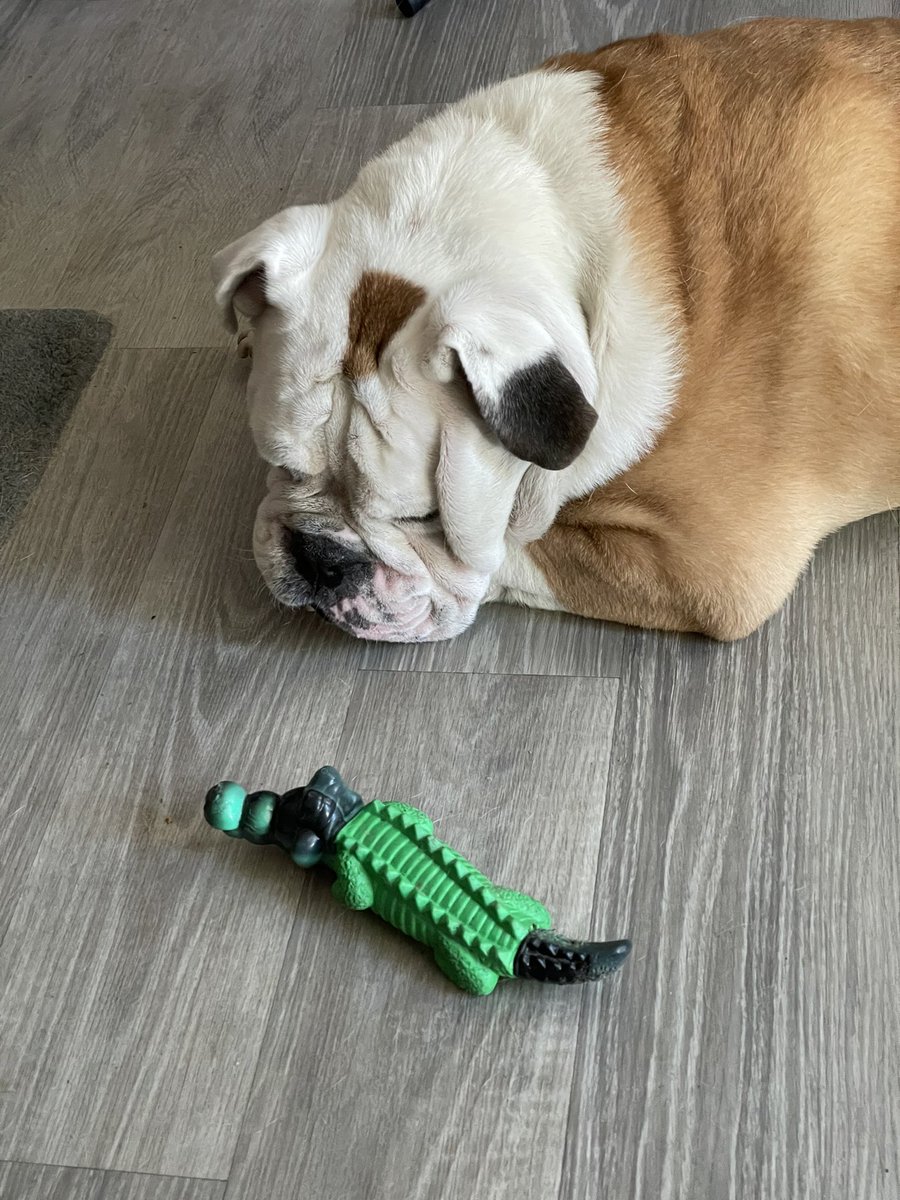 Adam Rich 🦍 tweet media