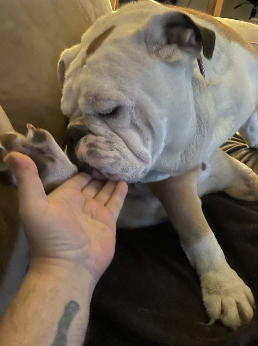 Adam Rich 🦍 tweet media