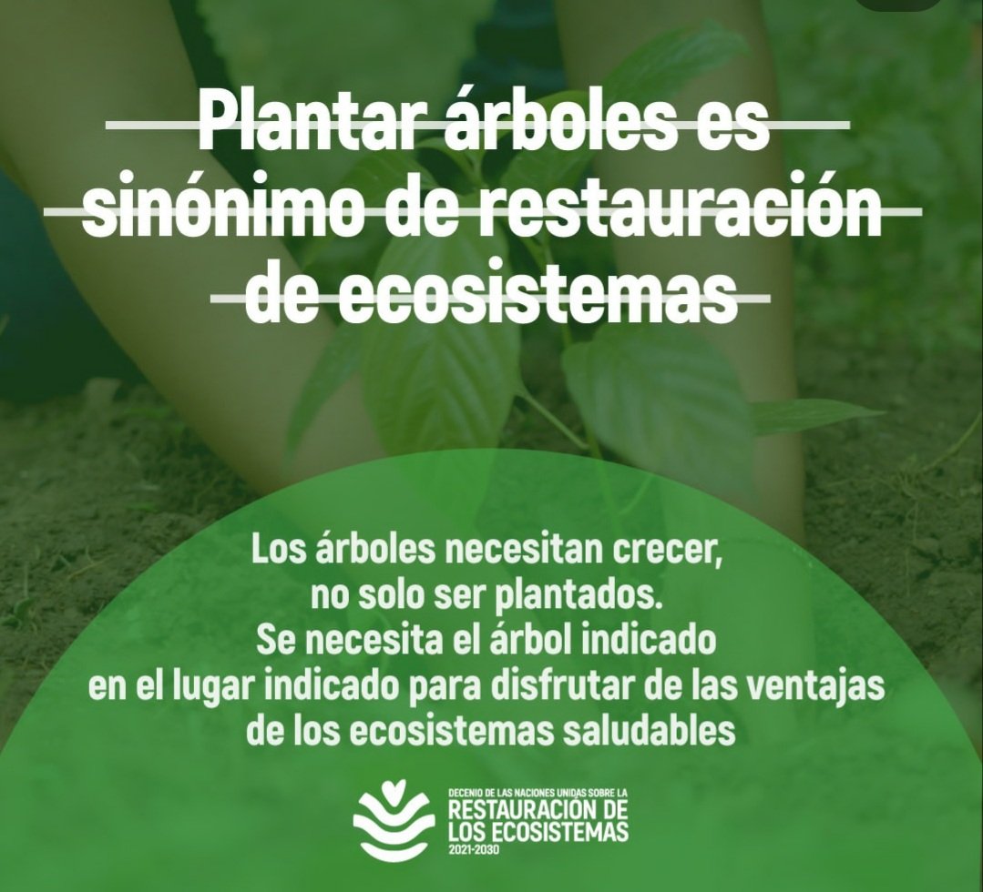 sanjosefusave's tweet photo. Todos  tenemos  el  compromiso   de cuidar  y restaurar  nuestros  #ecosistemas. #biodiversidad #FUSAVE https://t.co/cohI1MEhy6