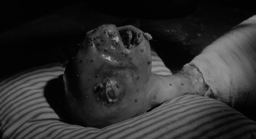 Movies from HELL tweet media