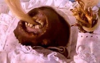 Movies from HELL tweet media