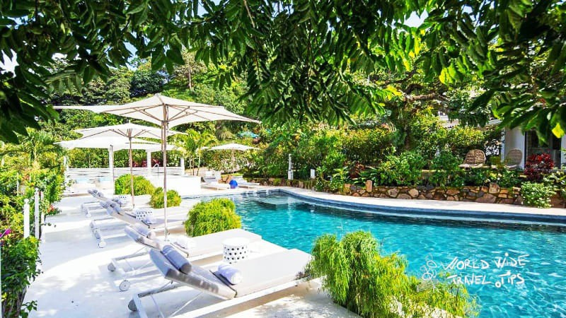 Worldwidettips's tweet image. As the cloud forest is less crowded, the queues for zip lining are extremely short but the experience is equally beautiful and unique as the ones from Monteverde cloud forest.

Read more 👉 lttr.ai/5syC

#TinyCountryLocated #BestKeptSecrets #CenterPart #SanRamon