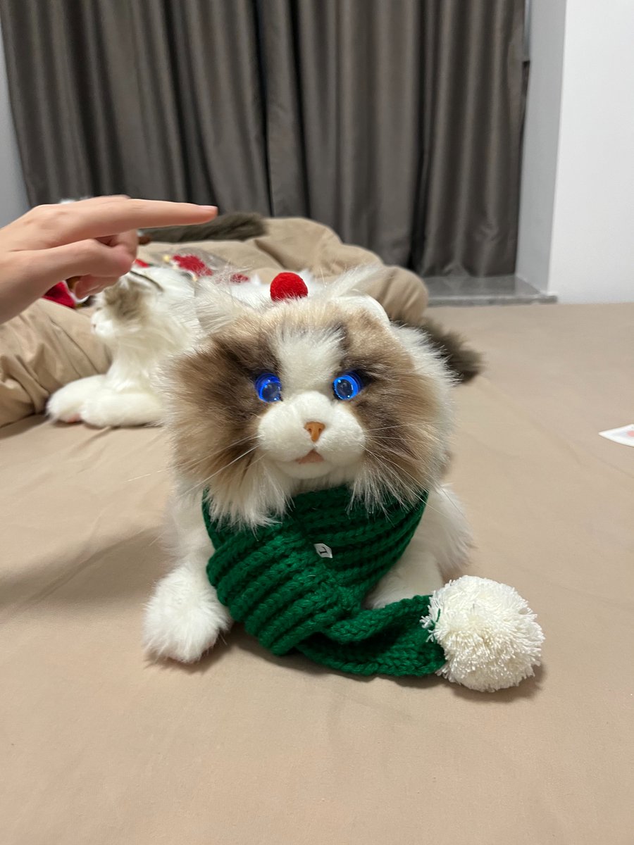 meta_Robotics's tweet photo. Christmas is coming soon! If you don't know what to pick for Christmas, take a look at our cute companion robot #metaCat!
#Christmasgifts #compainon #cat #猫好きさんと繋がりたい #robot #robotics #aibo #LOVOTとの暮らし https://t.co/P6Zq03SqQd