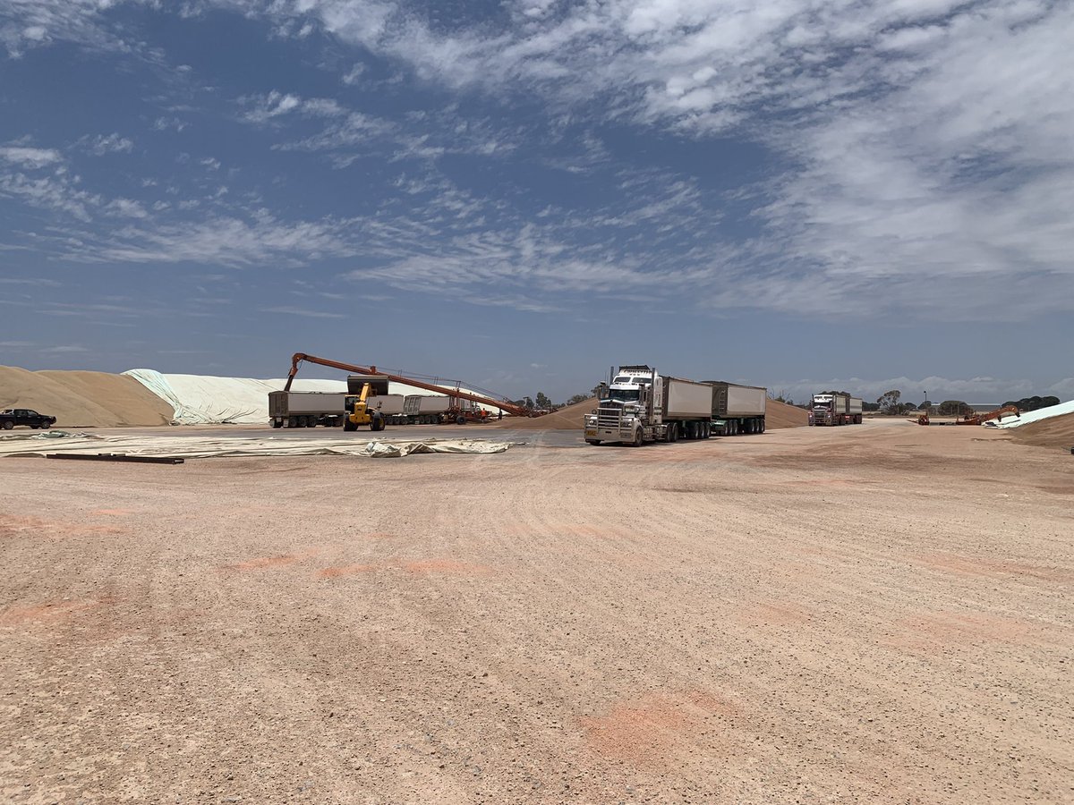 Creating some rooms for the prolonged #lentil harvest