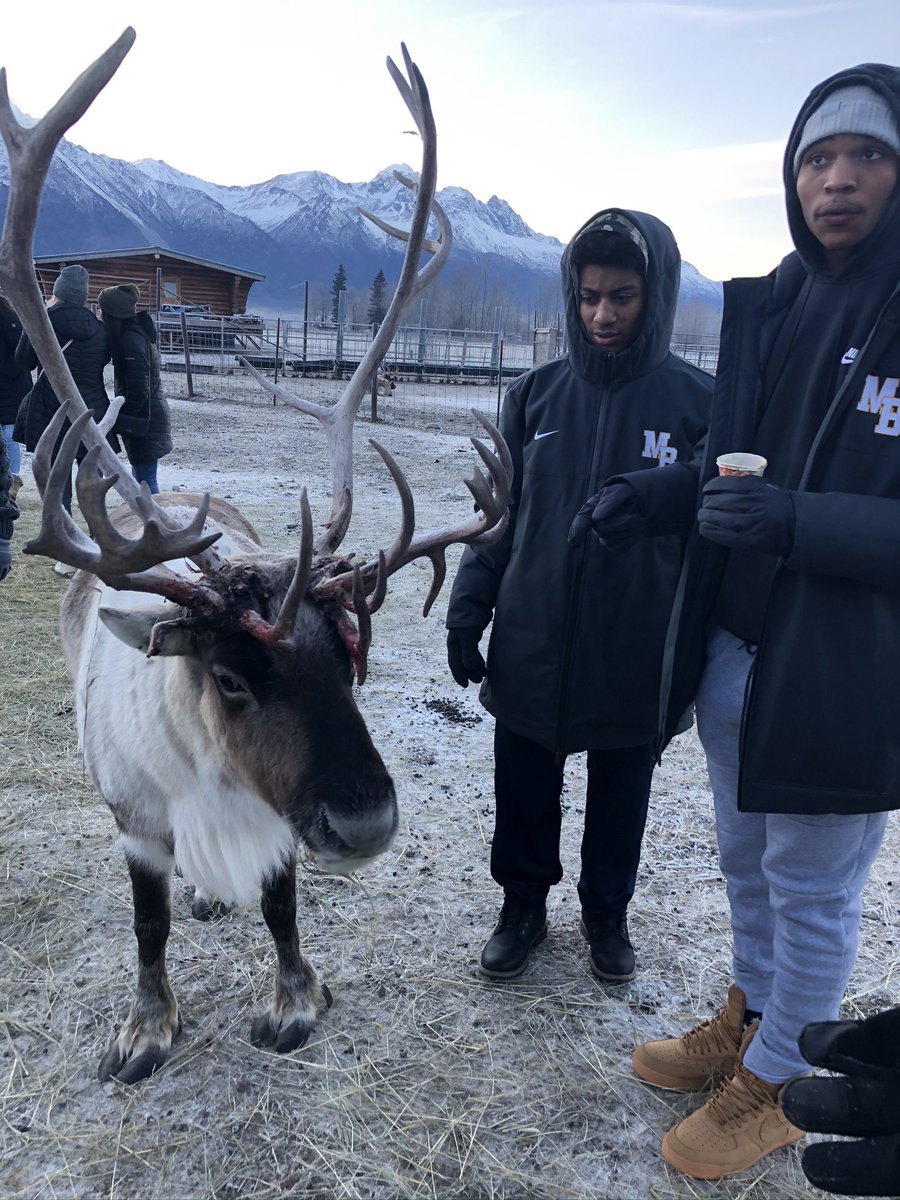 Cal Boyd tweet media