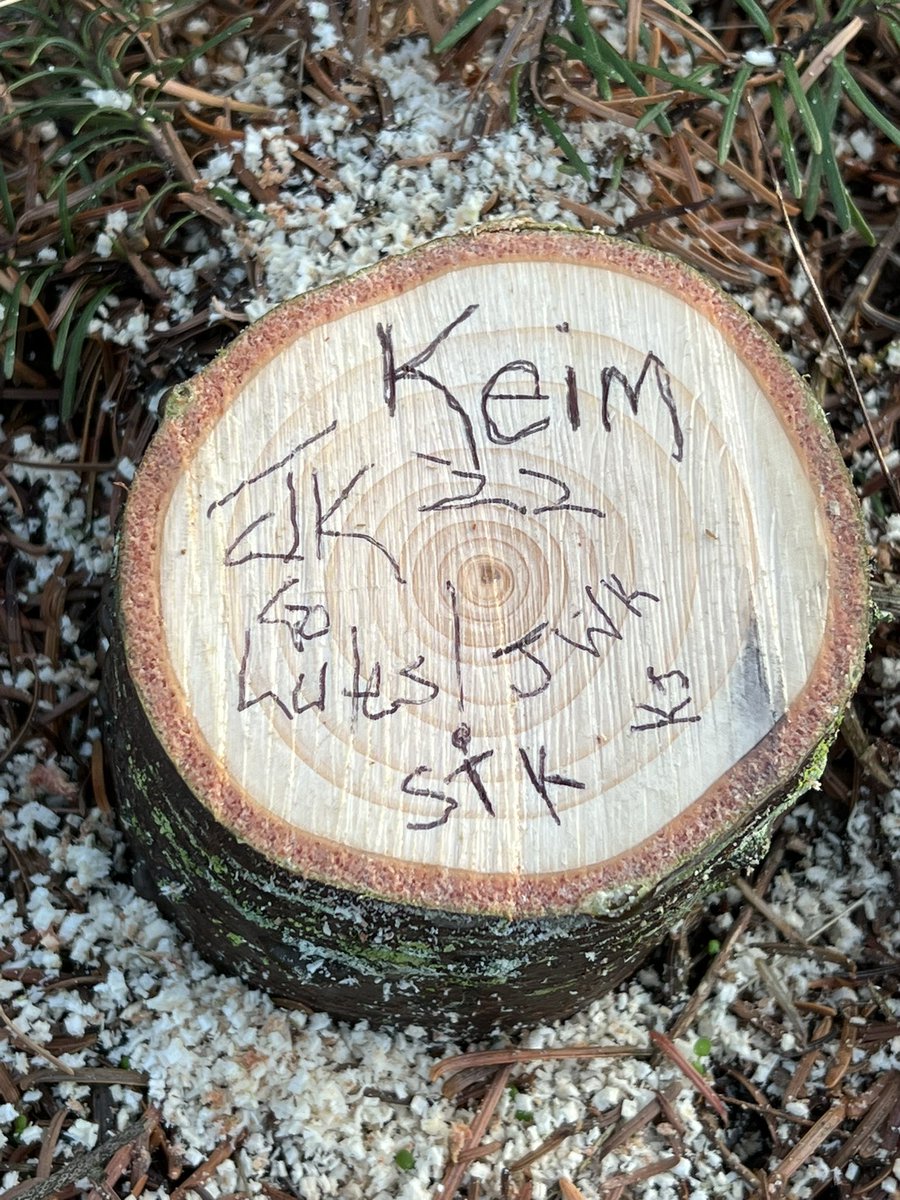 KeimTimeFB's tweet photo. Took a family/collective effort…knocked out that Noble today. Always a big time “TCM” for us…Love it ❤️🎄🇺🇸🪚💪🏻 #Belfair #UCutCool #Memories #GoLutes #PostEffort🍺 ;-) https://t.co/wgnxdUUYPU