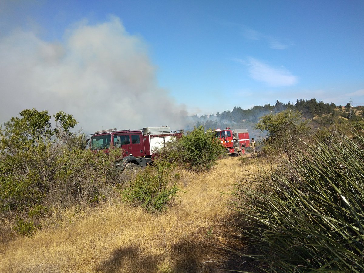 TerceraValpso's tweet photo. IIFF | esta tarde, unidades forestales del @CBV1851 acudieron en apoyo de @bomberosvina y @cbquintero1955.
La Tercera trabajó en el IIFF que afectó al @botanicovina y a sectores de Canal Chacao.
#CBV1851 #bomberosvalparaiso #iiff #wildfire #bomberosdechile #wildland #type3engine https://t.co/O3yhxzCwiu