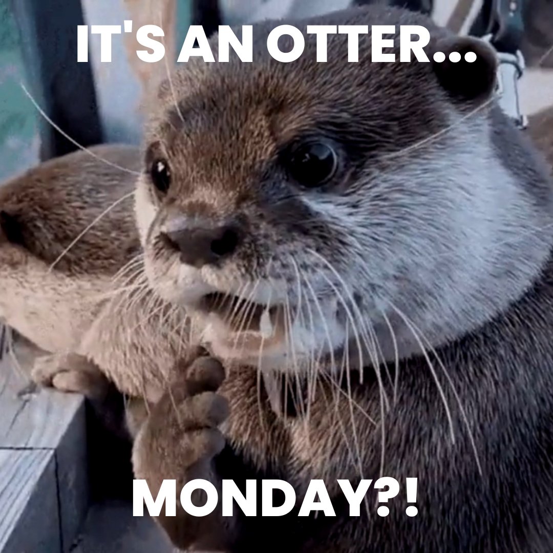 The Ocean Defenders - Ocean Action Comics tweet media