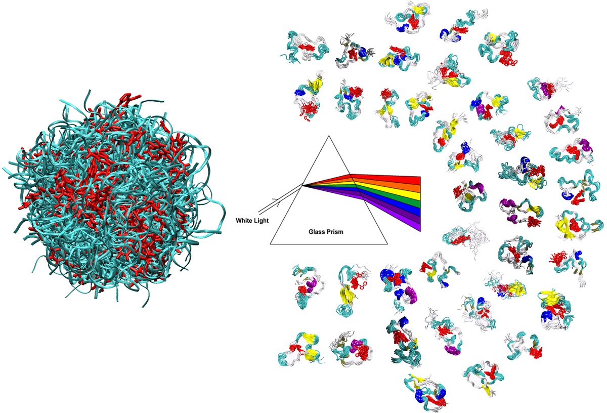 mbuanand's tweet image. tinyurl.com/IDP-tSNE A "method" paper from us on demultiplexing heterogeneous conformations of IDPs into structurally similar clusters.
@RajeswariAppad1 and I really enjoyed working with @PaulRobustelli @koduruJayakris1 @BonomiMax on this one.
Code: github.com/codesrivastava…