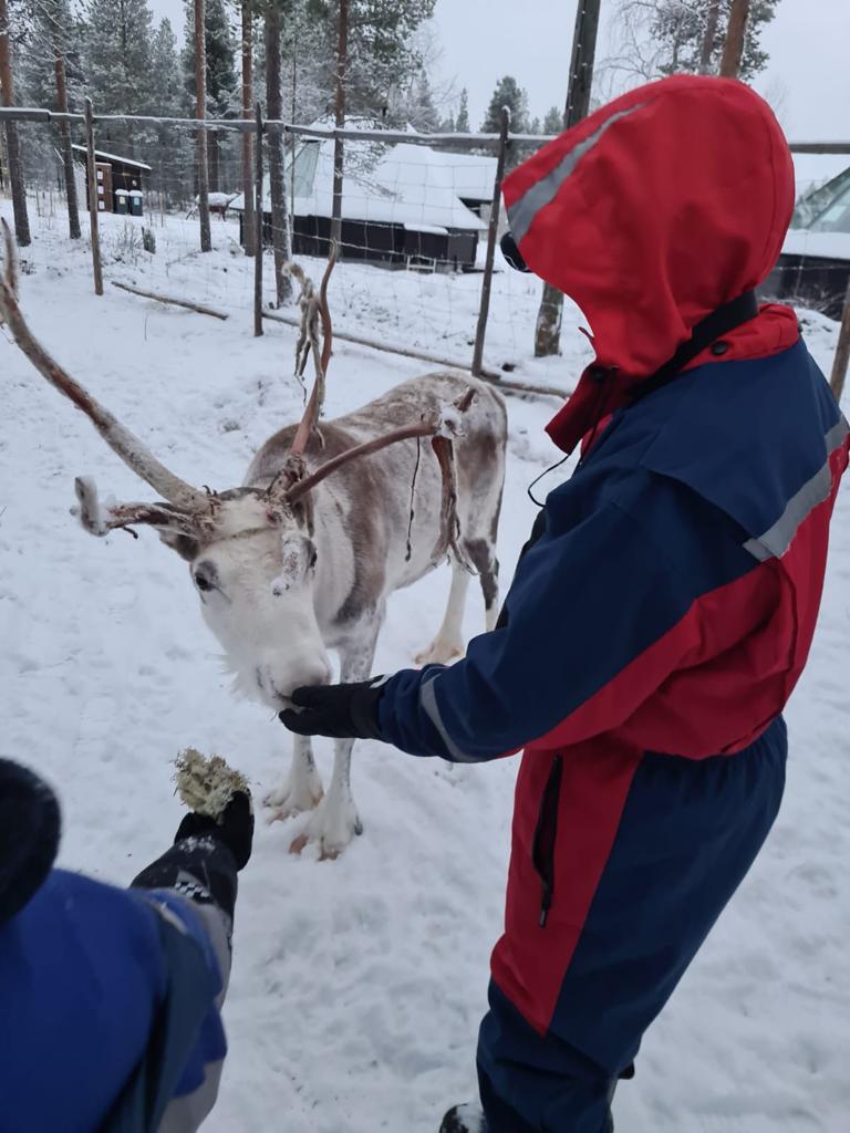 CHUM972's tweet photo. Ça y est, ils y sont, au pays du Père #Noel, La Laponie. Le voyage féérique annoncé le 24 novembre dernier pour les enfants hospitalisés à la #mfme grâce à l' Association Louis Carlesimo et le @RotaryFDF Club Sud s'est réalisé.
👉https://t.co/IiH30XFU92
#Merci https://t.co/I8H85DD3jy