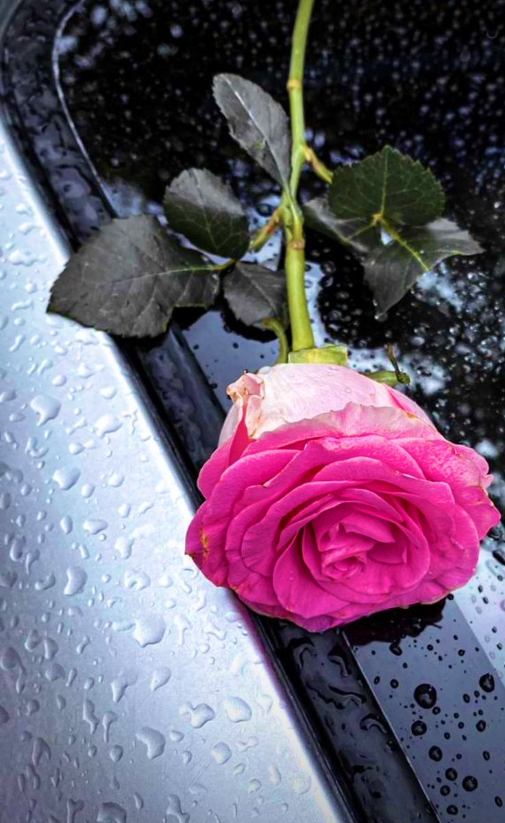 احسان (@1ehsan33) on Twitter photo 