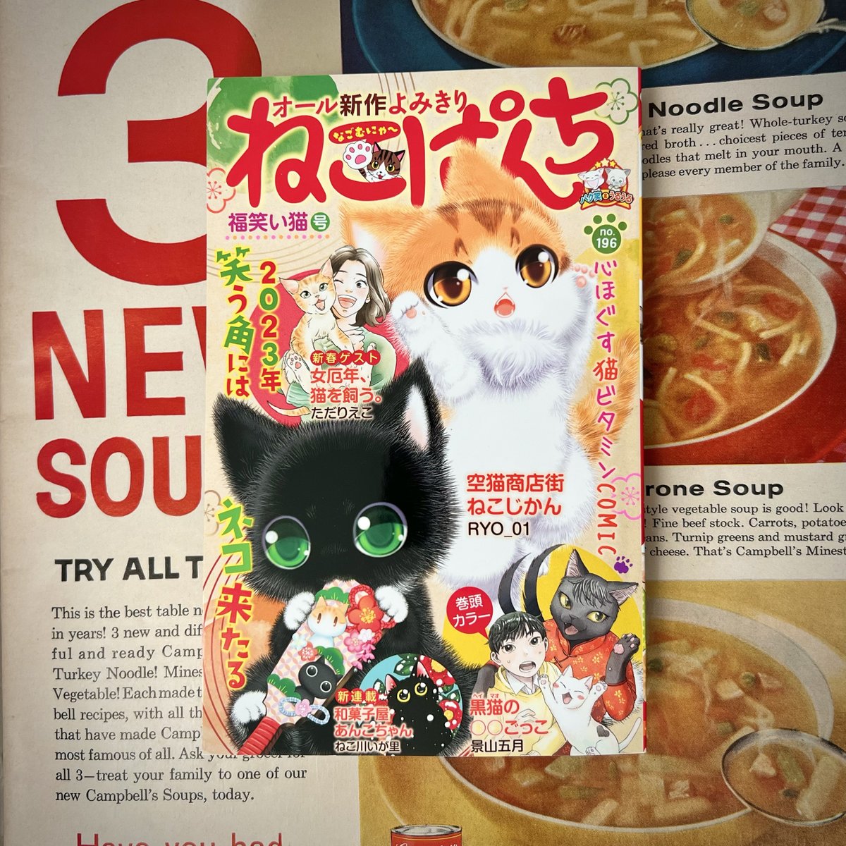 【おしらせ🕵️】本日、12月12日(月)発売の「ねこぱんち 福わらい猫号」にて、読み切り漫画『猫のキャロル』が掲載されています。猫と探偵が出会った頃の思い出のお話です。どうぞよろしくおねがいします🐱✨ 