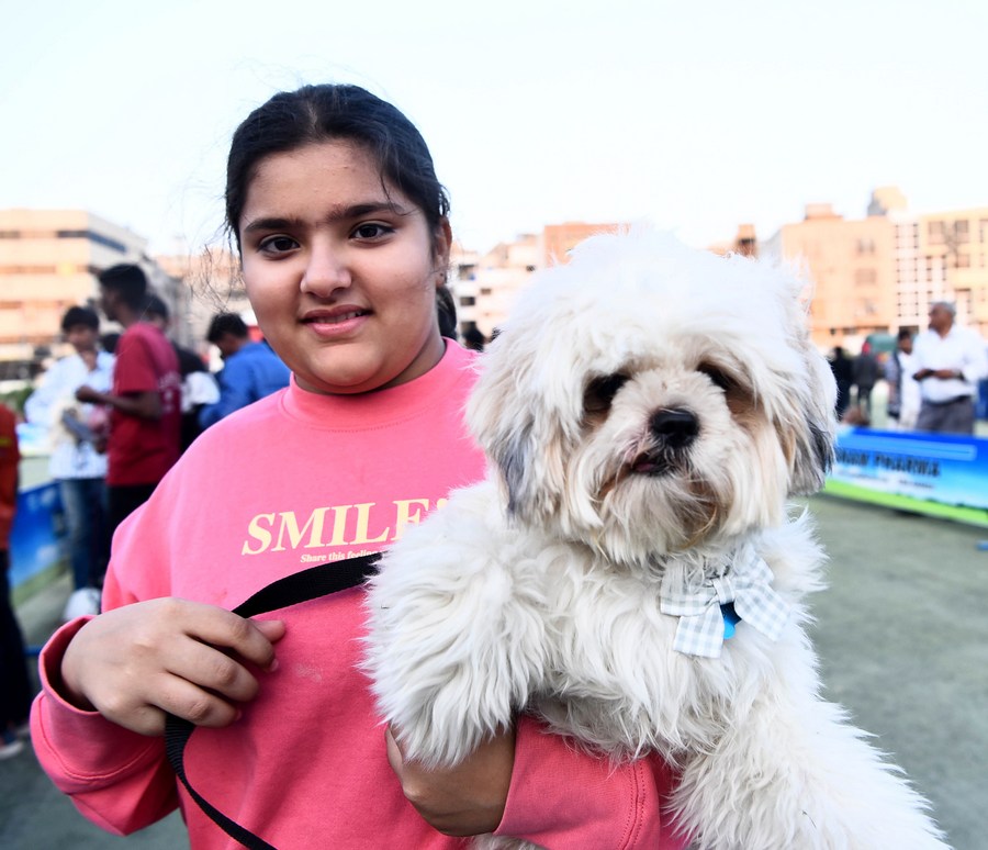 China Xinhua News on Twitter "Pawsome! Adorable dogs took part in a