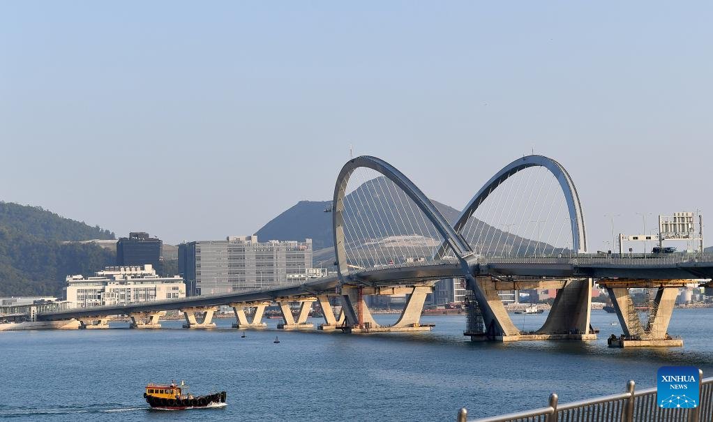 AlbumGba's tweet photo. Hong Kong's Tseung Kwan O Cross Bay Bridge opened to traffic on Sunday, becoming the first major bridge built exclusively by a mainland company in #HongKong. #PaceinGBA https://t.co/8lQTwQtpe9
