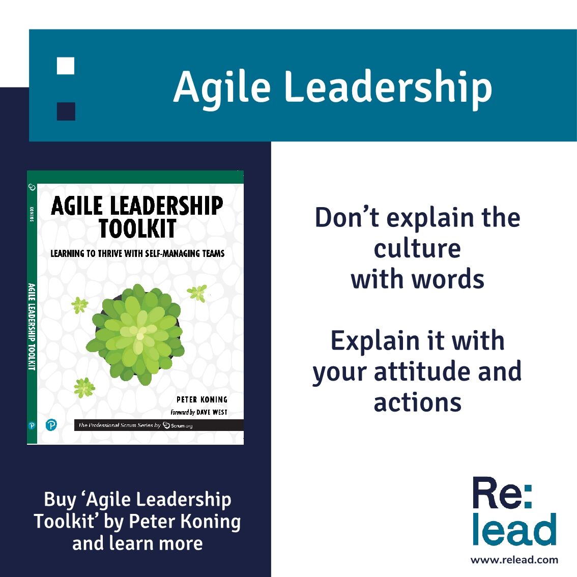 Peter Koning tweet media