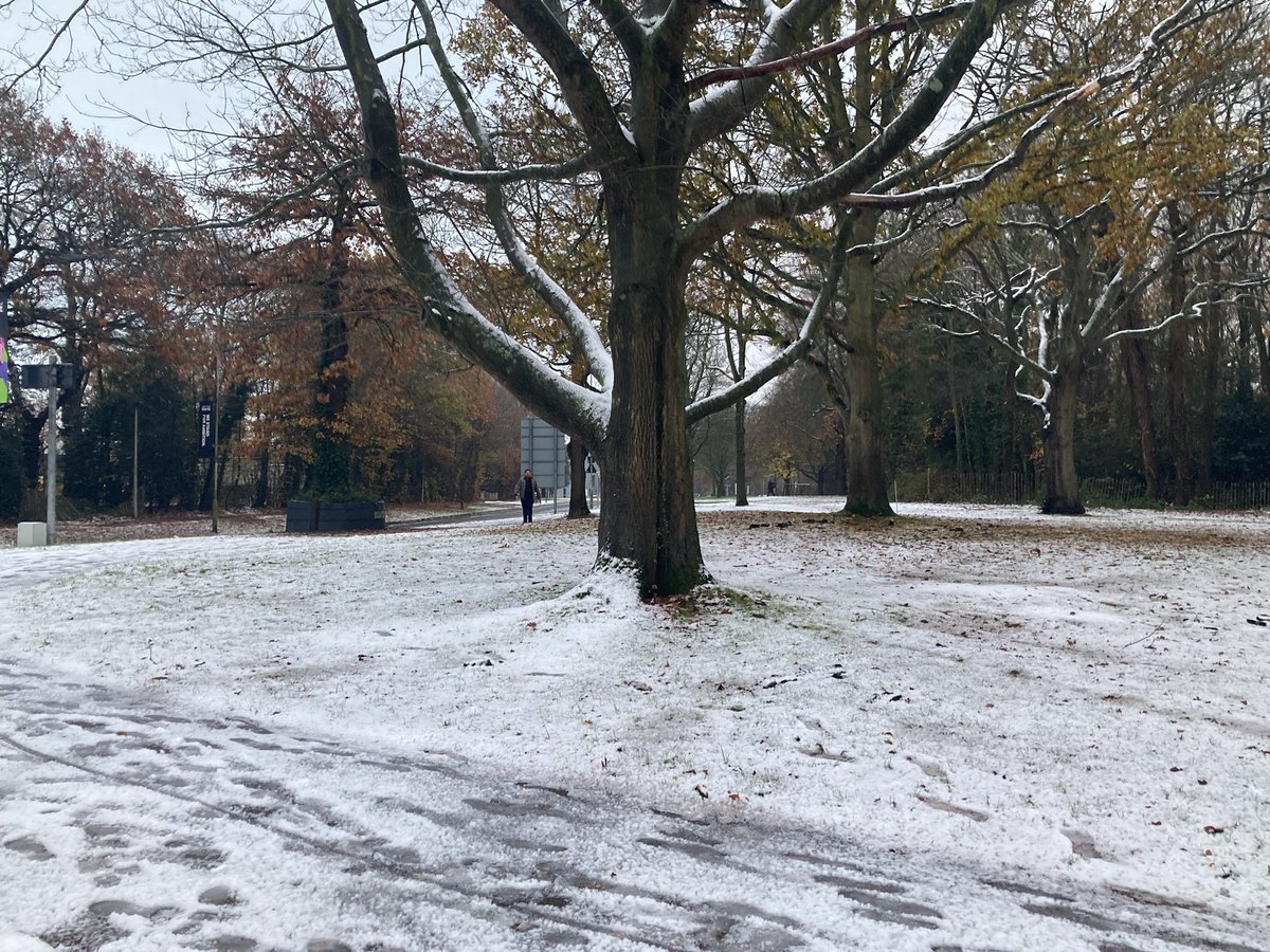 Estates Department tweet media