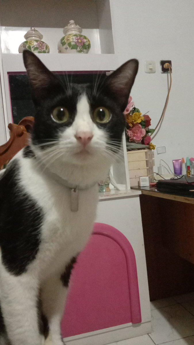 minsugamazing's tweet photo. @kochengfs 0.0 https://t.co/a1WuQVGL2I