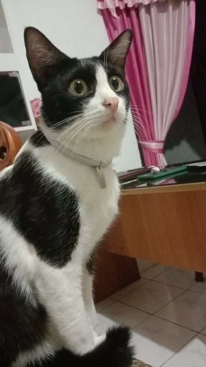 minsugamazing's tweet photo. @kochengfs 0.0 https://t.co/a1WuQVGL2I