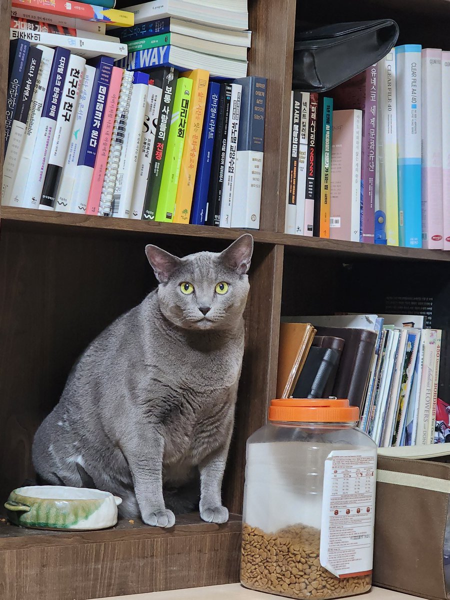 metaluca I .edge🦭 tweet media