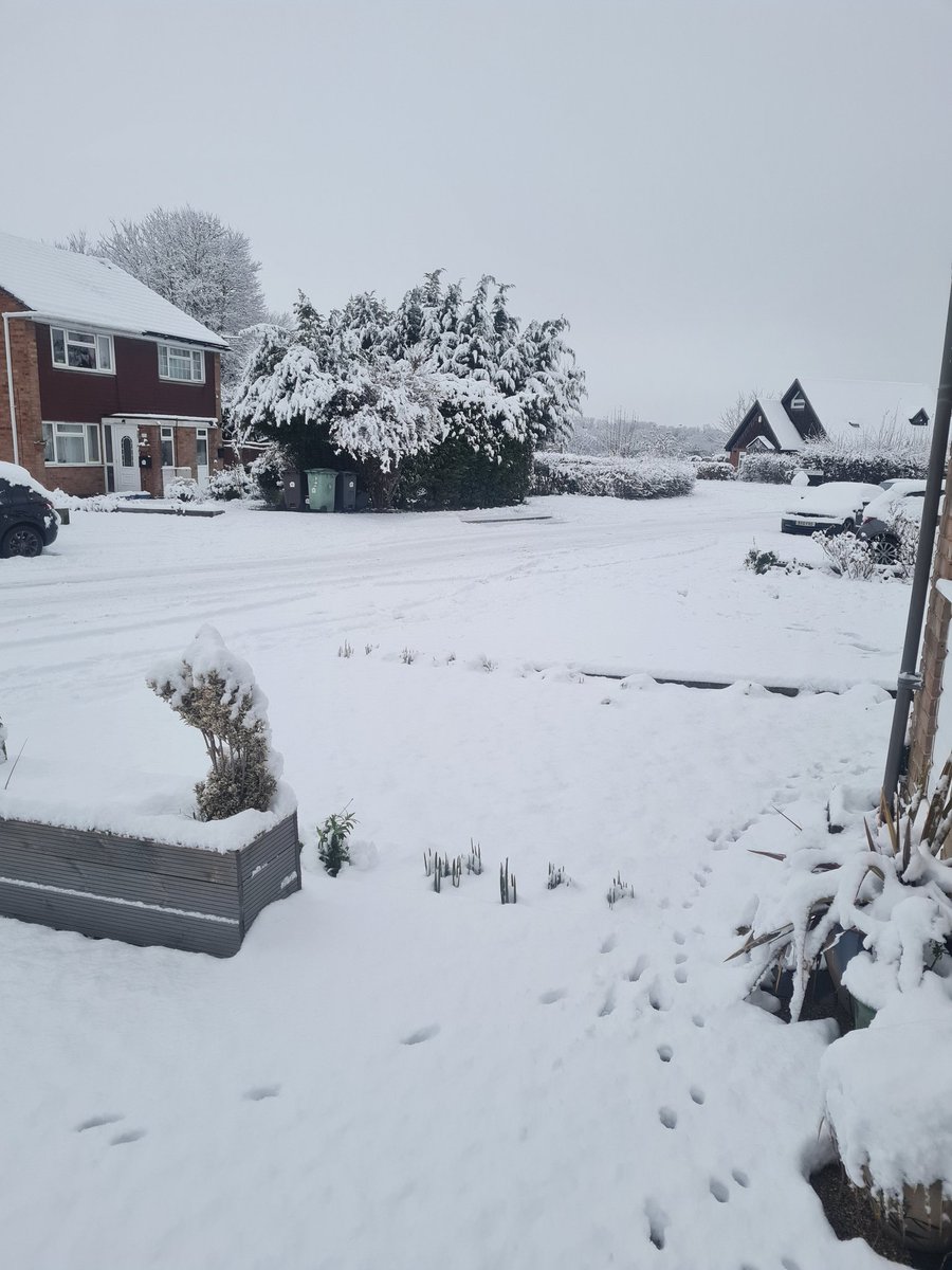 nikkigooch's tweet photo. I'm supposed to be in at the office today rather than working from home...#weathersaysnope #uksnow #kentsnow #WinterWonderland https://t.co/9QZsF3LPIC