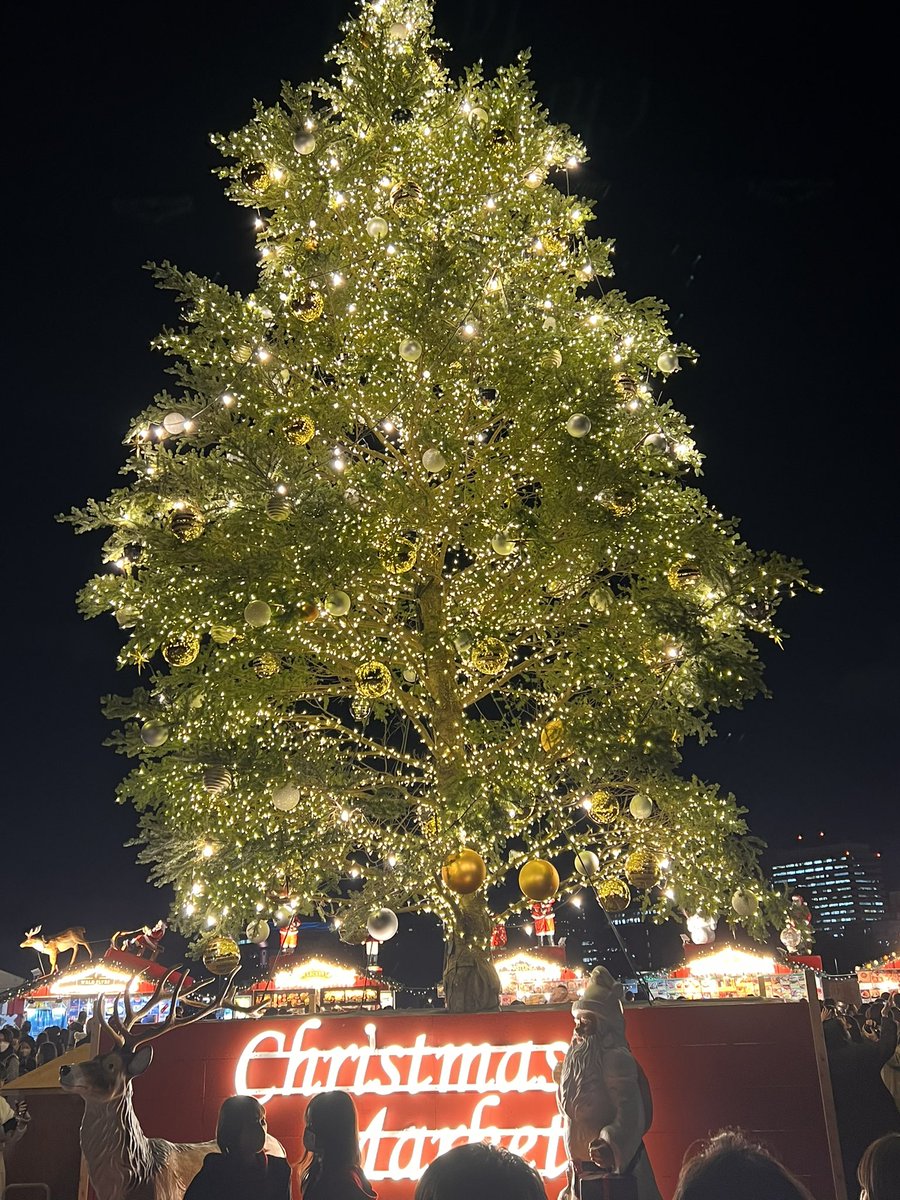 「横浜のクリスマス可愛いね犬!もふもふの集まり!みたいな集会があってひたすら眺めて」|いくじ🍙のイラスト
