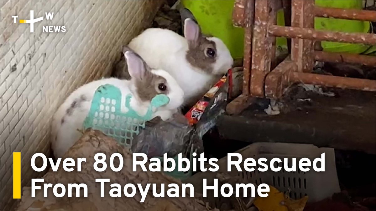 TaiwanPlus on Twitter: 