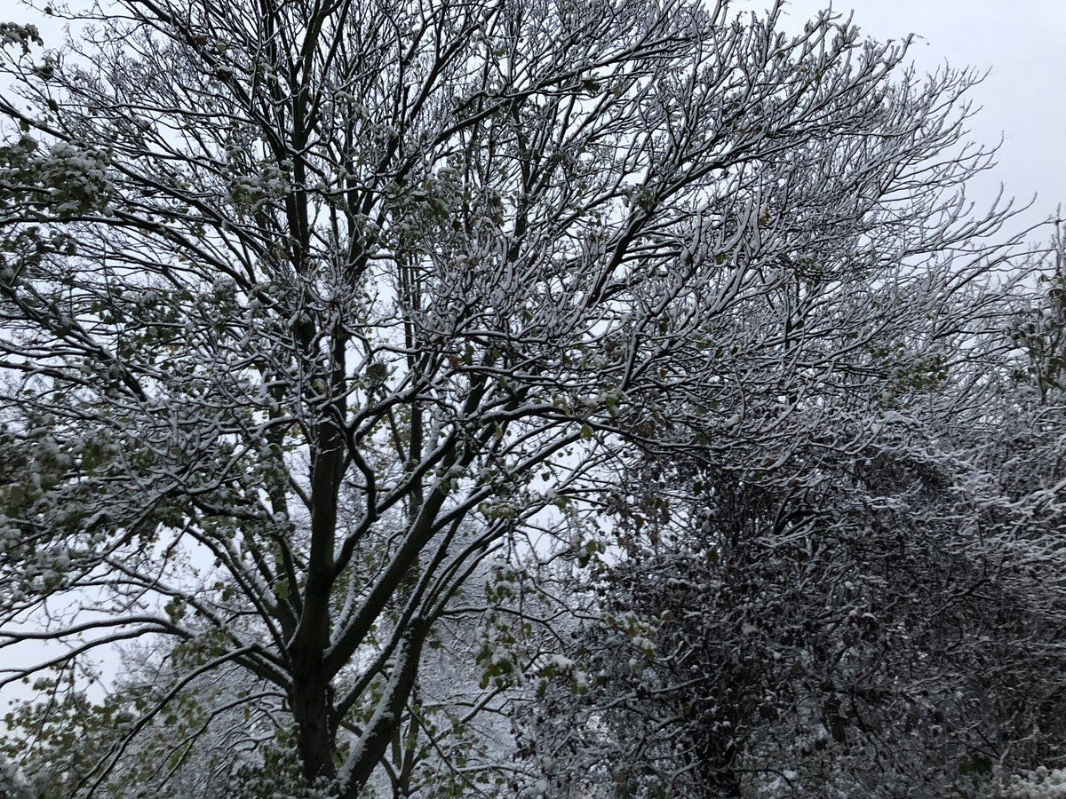 Advinder Gill tweet media