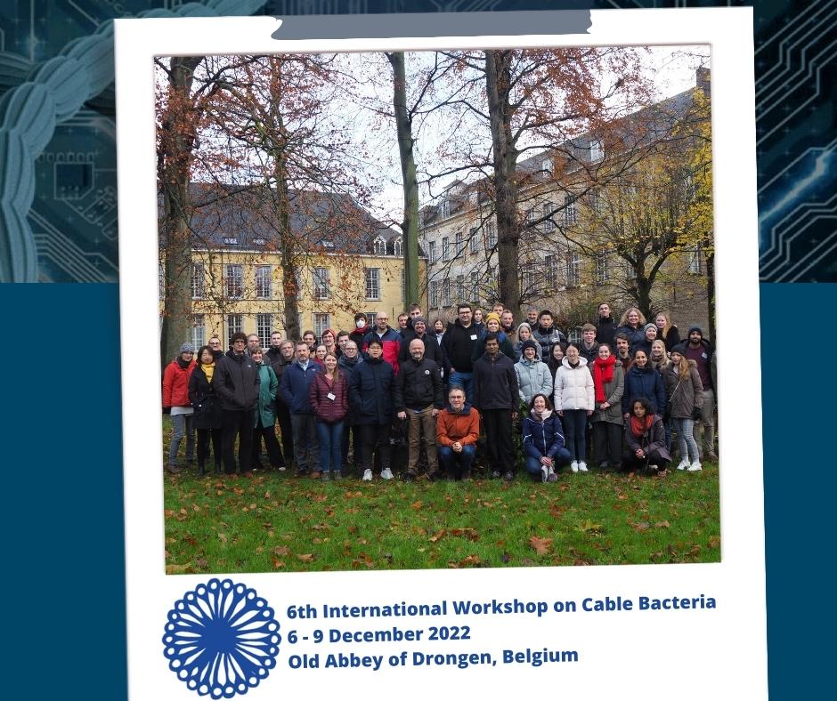 Just like you, we love to connect with likeminded people with great food and drinks!😍

We facilitated this for the #cablebacteria community during the 6th International Workshop on Cable Bacteria, including a Belgian beer tasting, quiz and historical walk in Ghent.🦠🌿