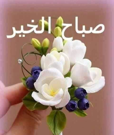 Haedar (@haedar12316601) on Twitter photo 
