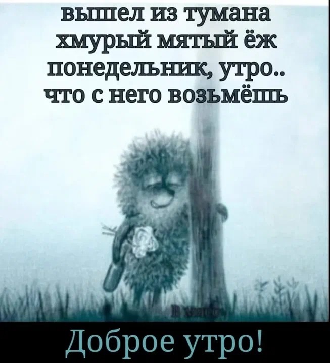 b_bratstvoBron's tweet photo. Утра!... https://t.co/dcMkMRrHhZ