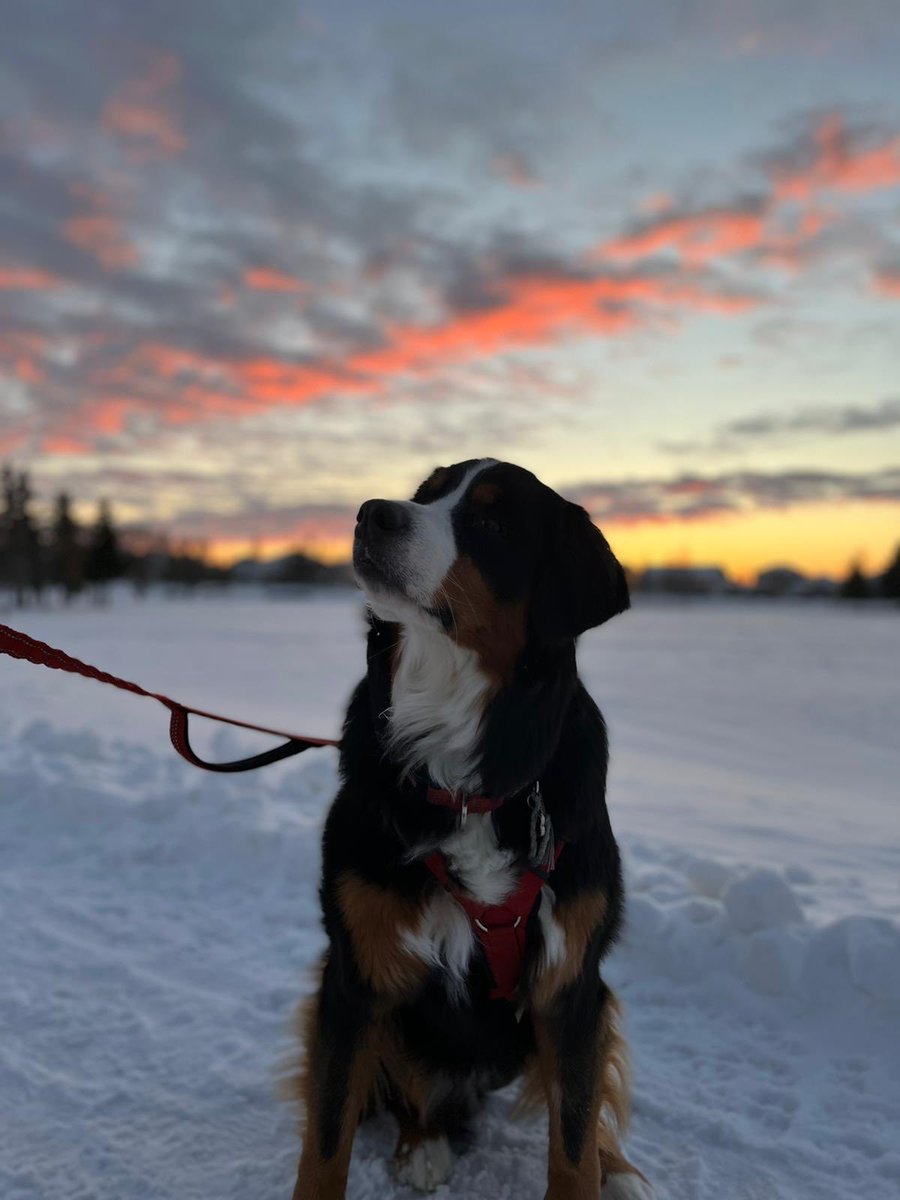 Denene Little tweet media