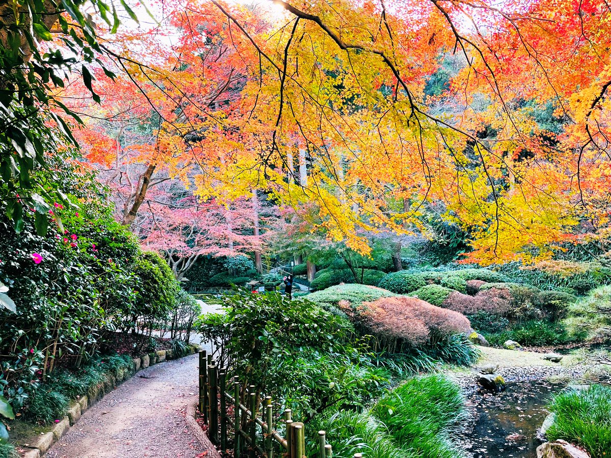 korokoro_yutai's tweet image. 北鎌倉明月院（あじさい寺）
平日なので丸窓（悟りの窓）の撮影の列も少なめ。
入館料500円のほかに特別拝観料（500円）を支払うと本堂後庭円から丸窓を反対側から眺められる。