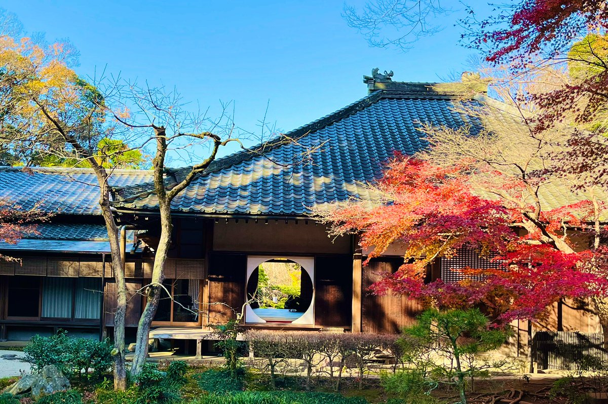 korokoro_yutai's tweet image. 北鎌倉明月院（あじさい寺）
平日なので丸窓（悟りの窓）の撮影の列も少なめ。
入館料500円のほかに特別拝観料（500円）を支払うと本堂後庭円から丸窓を反対側から眺められる。