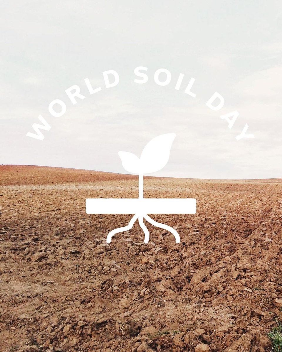 Soorty Enterprises tweet media