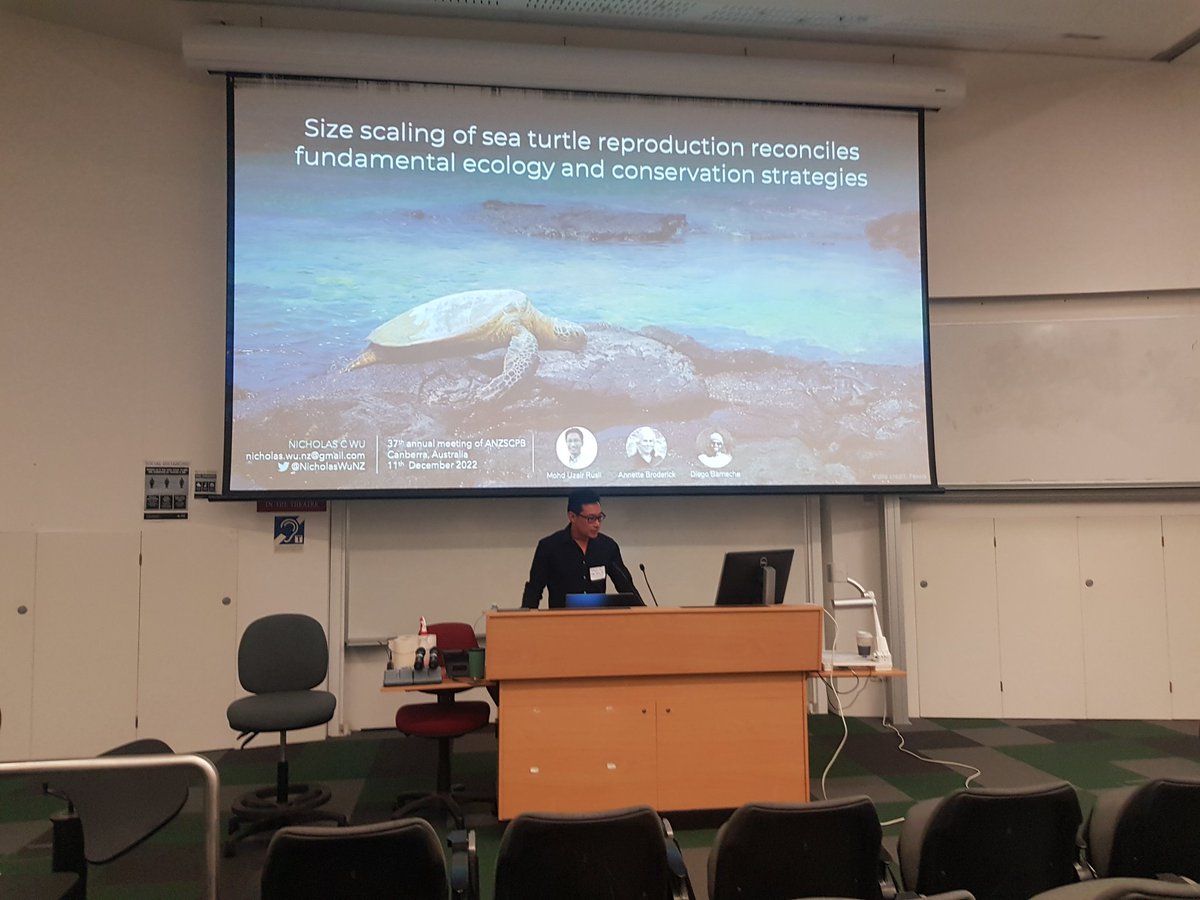 <a href="/NicholasWuNZ/">Nicholas Wu</a> showing us the hyperallometric scaling of reproductive output in sea turtles. Larger females lay disproportionality more eggs. #ANZSCPB