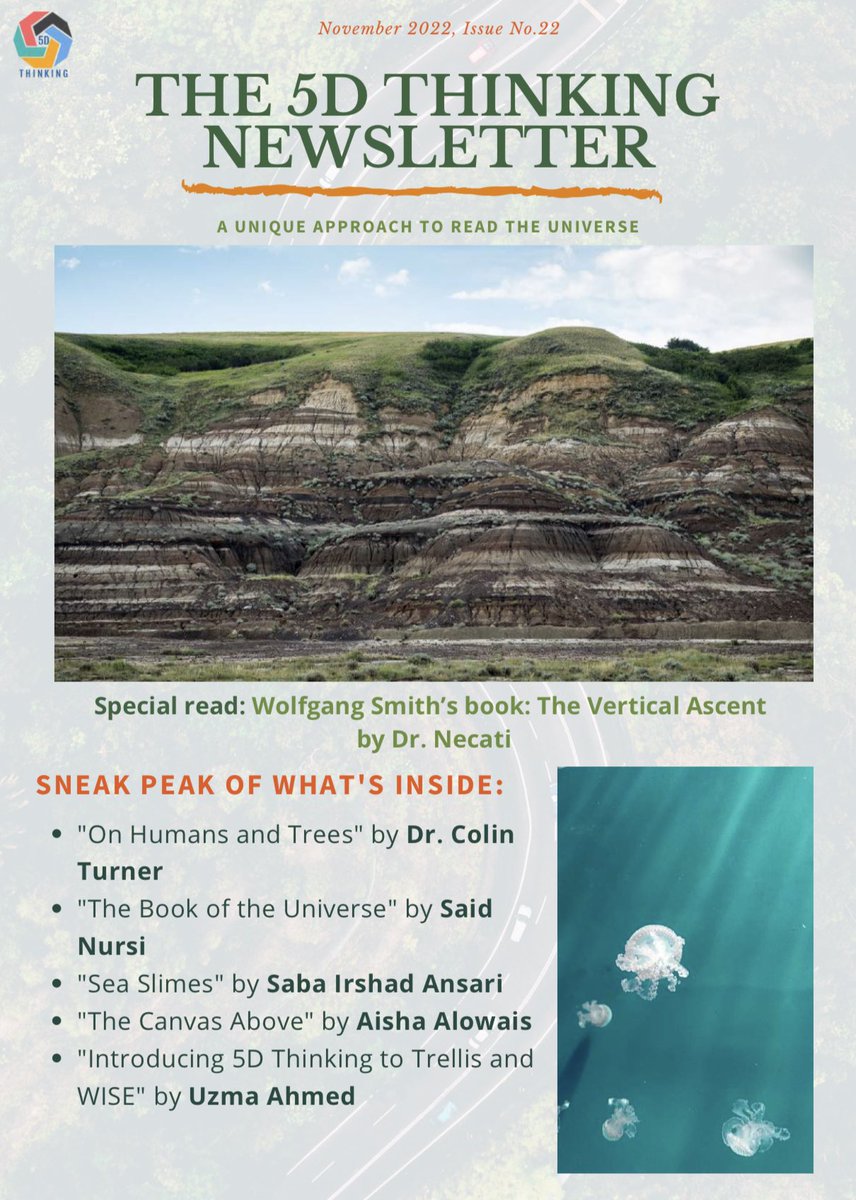 5D Thinking tweet media